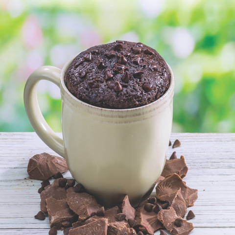 Double Chocolate Chip Brownie Mug Cake