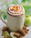 Caramel Apple Cinnamon Mug Cake